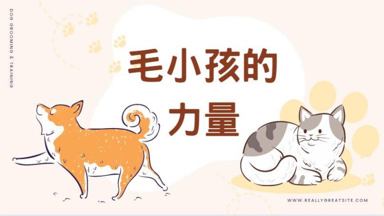 公開課「毛小孩的力量」報名